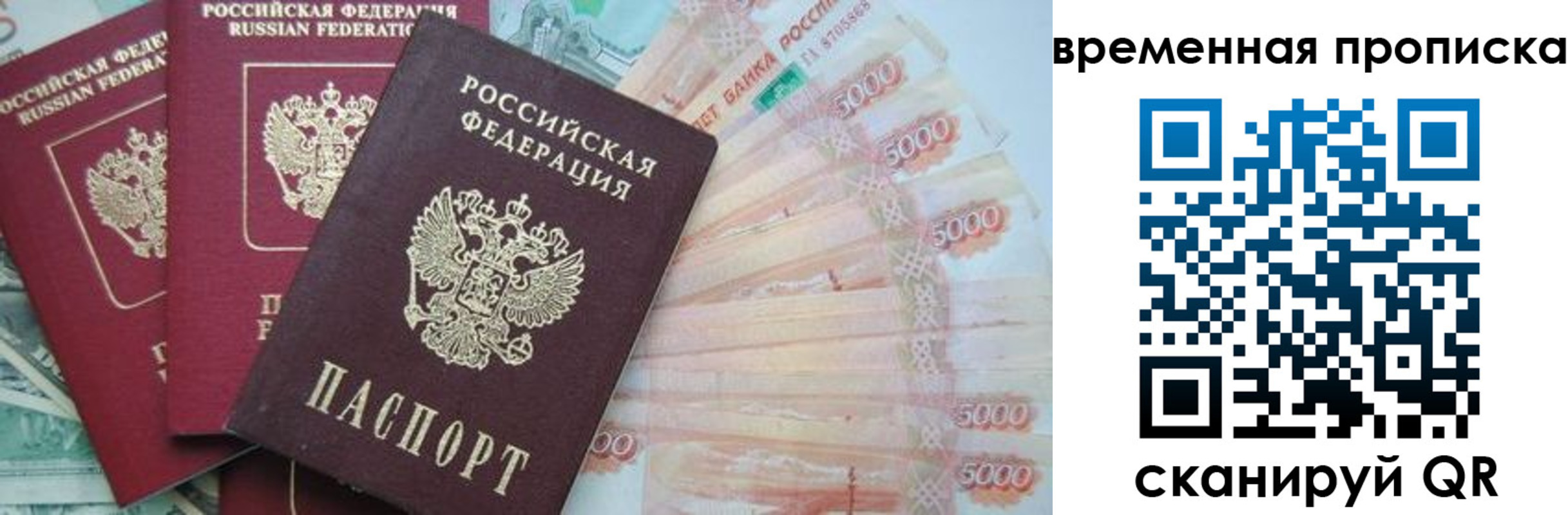 прописка поиск в Ревде